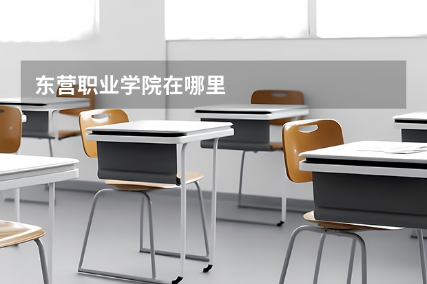 东营职业学院在哪里