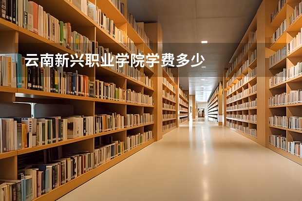 云南新兴职业学院学费多少