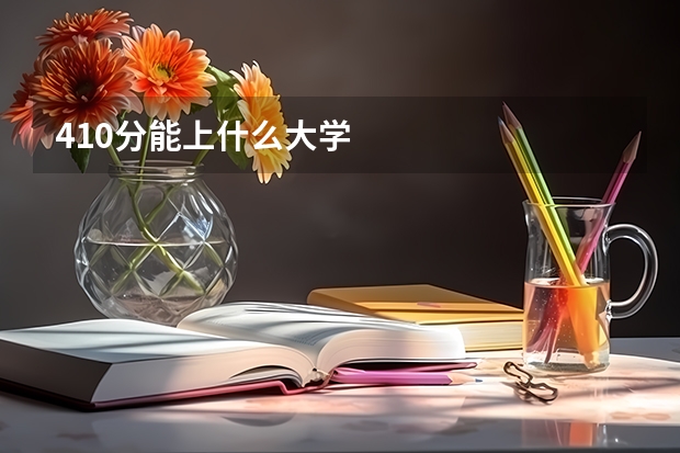 410分能上什么大学
