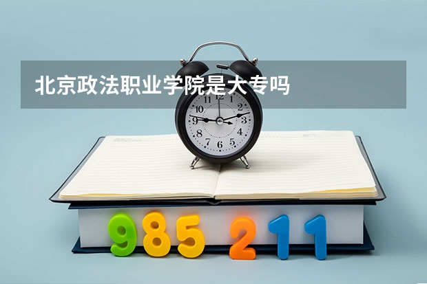 北京政法职业学院是大专吗