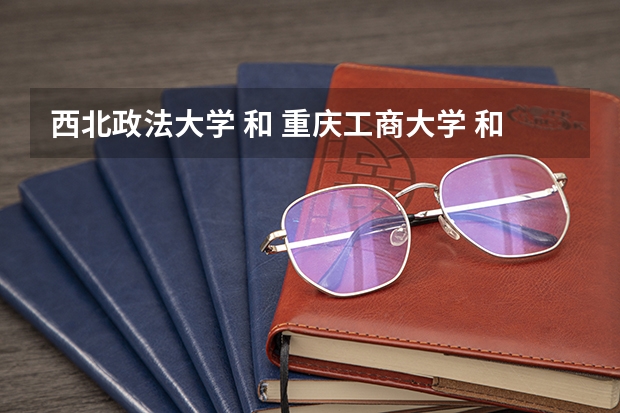 西北政法大学 和 重庆工商大学 和 烟台大学 和鲁东大学 哪个更好啊