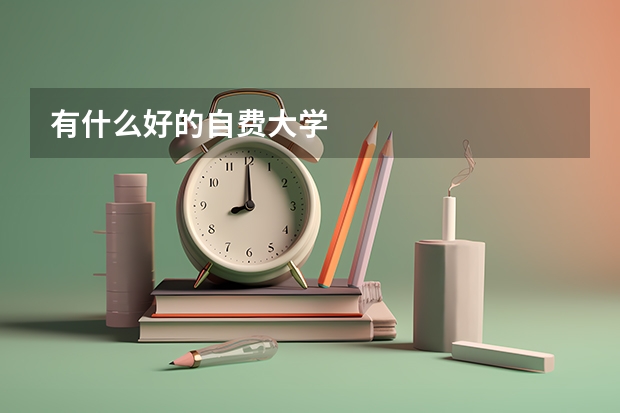 有什么好的自费大学