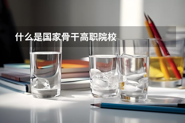 什么是国家骨干高职院校