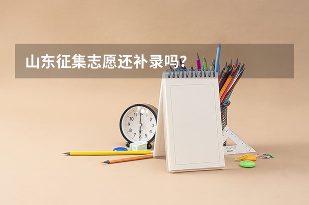 山东征集志愿还补录吗？
