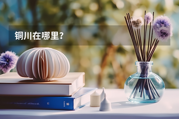 铜川在哪里？