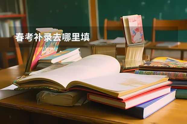 春考补录去哪里填