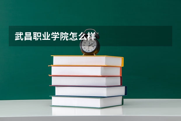 武昌职业学院怎么样