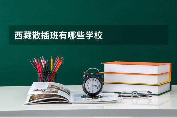 西藏散插班有哪些学校