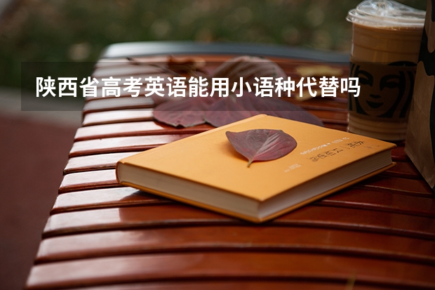 陕西省高考英语能用小语种代替吗