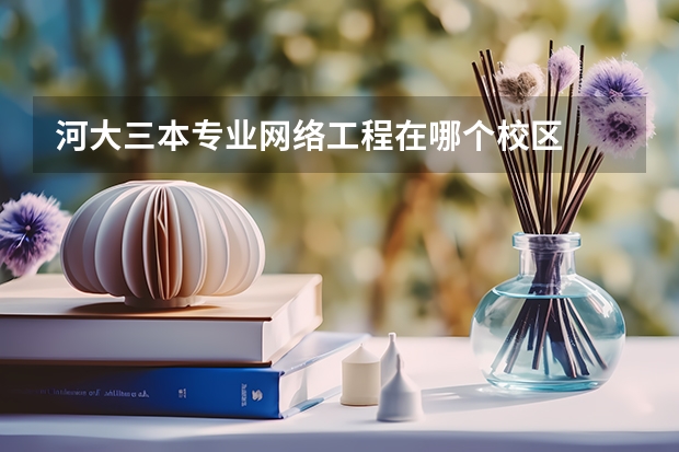 河大三本专业网络工程在哪个校区