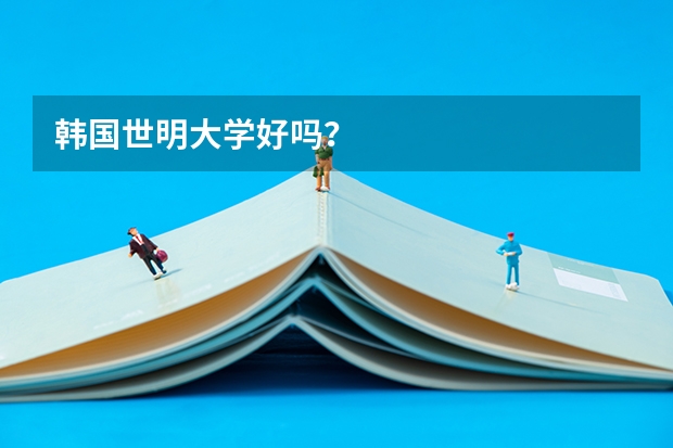 韩国世明大学好吗？