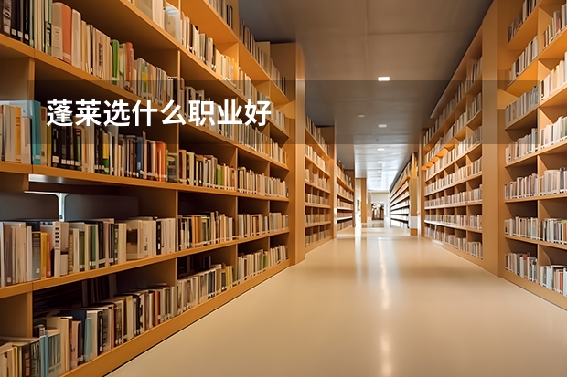 蓬莱选什么职业好