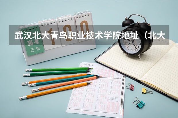 武汉北大青鸟职业技术学院地址（北大青鸟职业技术学院？）