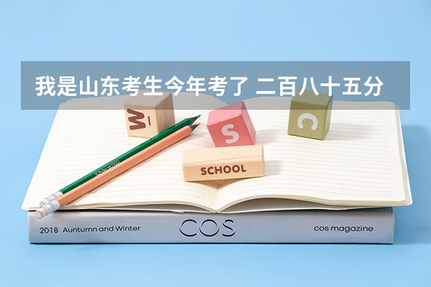 我是山东考生今年考了 二百八十五分 有什么高职院校可以上吗