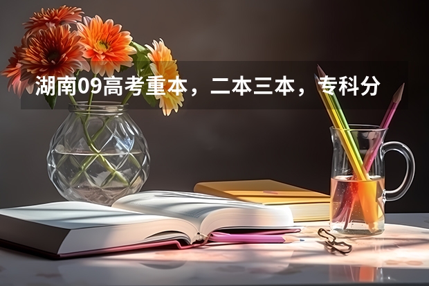 湖南09高考重本，二本三本，专科分数线（湖南省所有的三本院校）