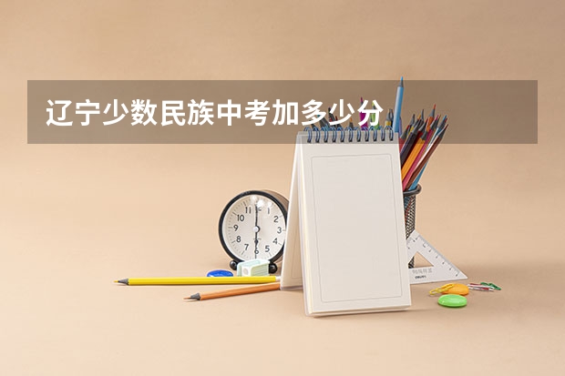 辽宁少数民族中考加多少分
