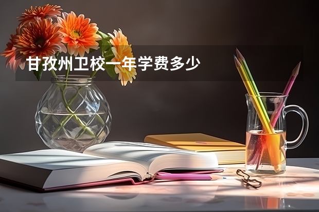 甘孜州卫校一年学费多少