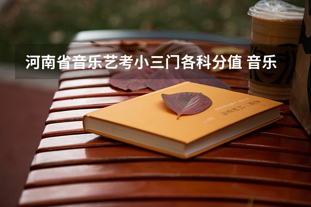 河南省音乐艺考小三门各科分值 音乐系艺考