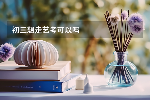 初三想走艺考可以吗