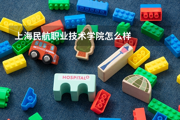 上海民航职业技术学院怎么样