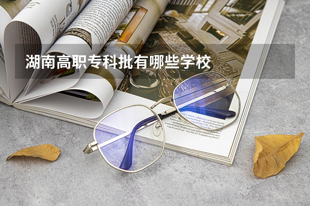 湖南高职专科批有哪些学校