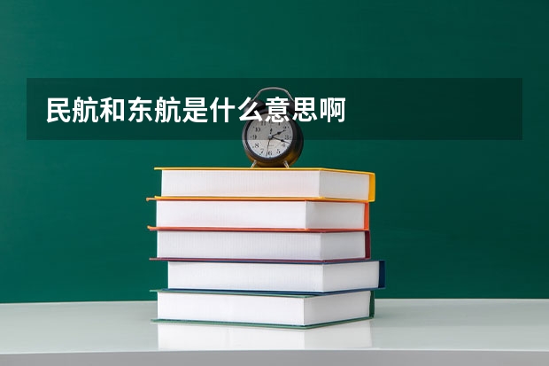 民航和东航是什么意思啊