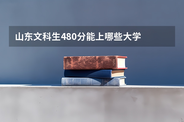 山东文科生480分能上哪些大学