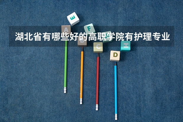 湖北省有哪些好的高职学院有护理专业啊。