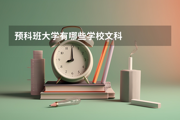 预科班大学有哪些学校文科