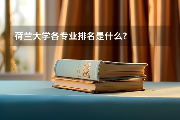 荷兰大学各专业排名是什么？