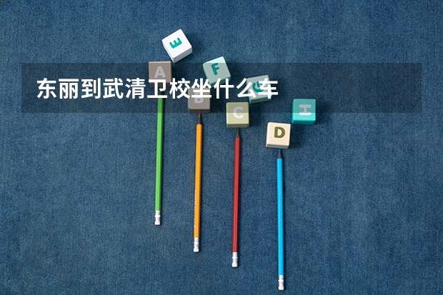 东丽到武清卫校坐什么车