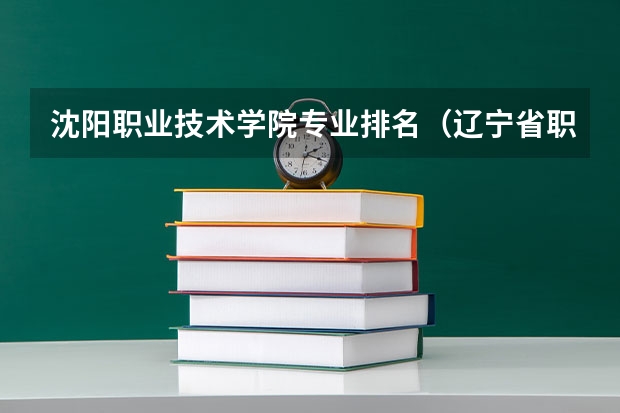 沈阳职业技术学院专业排名（辽宁省职业技术学校排名）