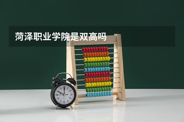 菏泽职业学院是双高吗