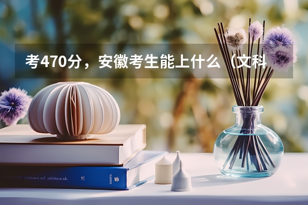 考470分，安徽考生能上什么（文科）