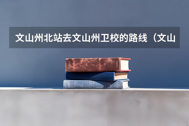 文山州北站去文山州卫校的路线（文山州普者黑机场到云南省文山州文山市职教园区卫校多远）
