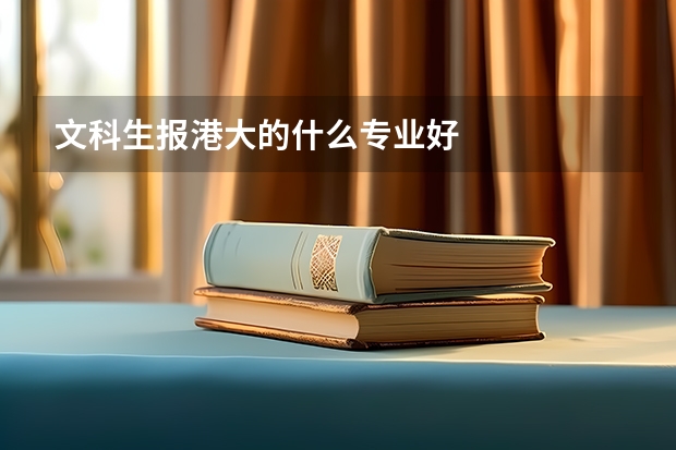 文科生报港大的什么专业好