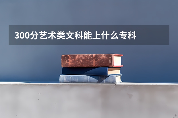 300分艺术类文科能上什么专科