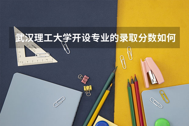 武汉理工大学开设专业的录取分数如何