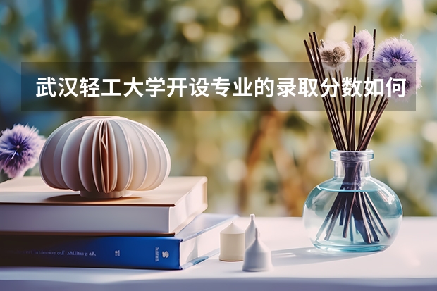 武汉轻工大学开设专业的录取分数如何