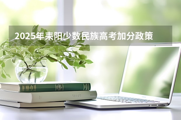 2025年耒阳少数民族高考加分政策解读