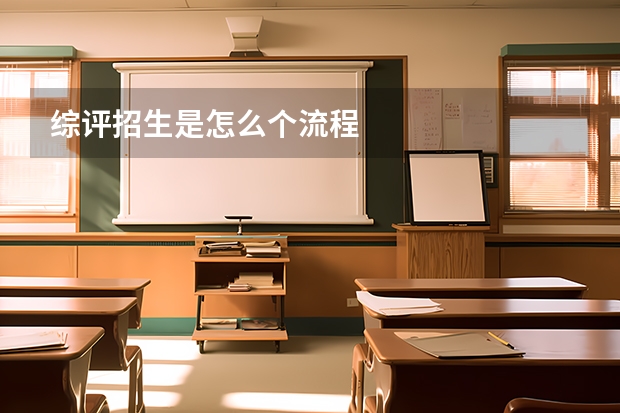 综评招生是怎么个流程