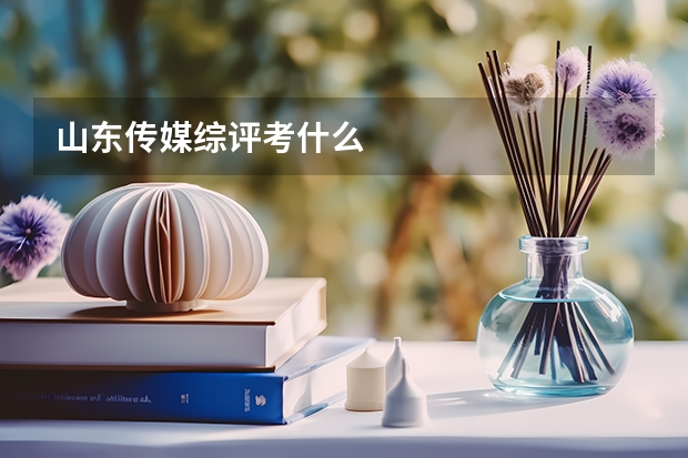 山东传媒综评考什么