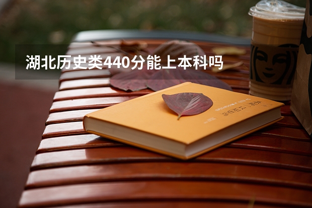 湖北历史类440分能上本科吗