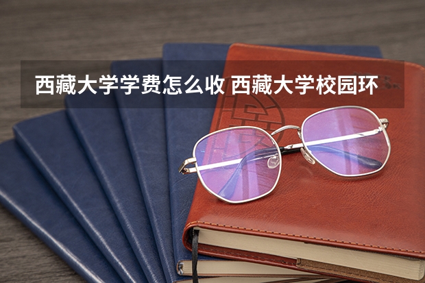西藏大学学费怎么收 西藏大学校园环境如何