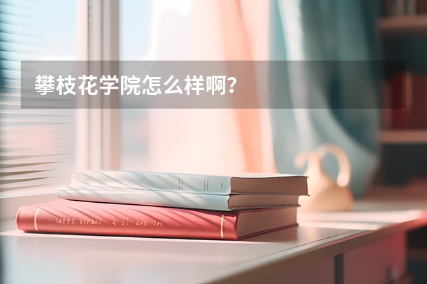 攀枝花学院怎么样啊？